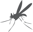 IAR icon mosquito