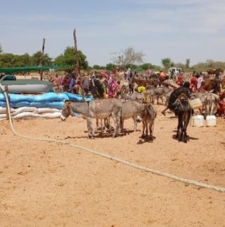 MSF activities in Wadi Fira